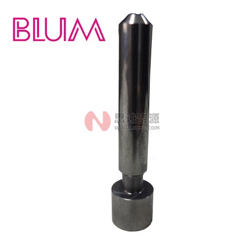 波龍(BLUM) Reference tool 測量基準棒 D=12 標準刀  ECP87.0634-012.332